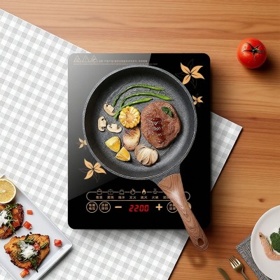 Cocina Inducción eléctrica 