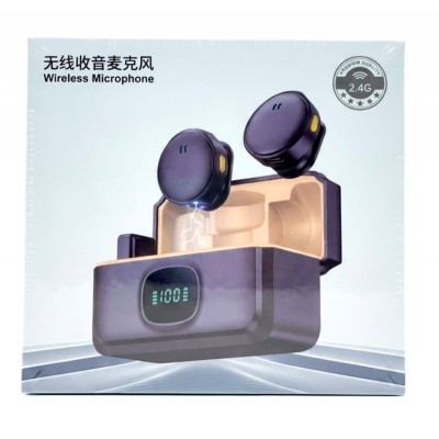 Microfono Inalambrico 2.4g Q8